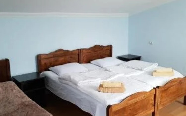 Tsitsia and Stepan Guest House