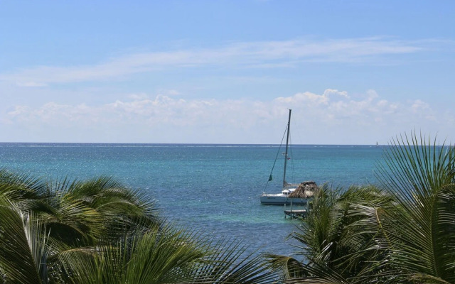 Tara Del Sol