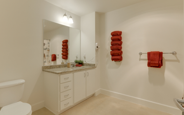Great spacious Apartment - Downtown Location