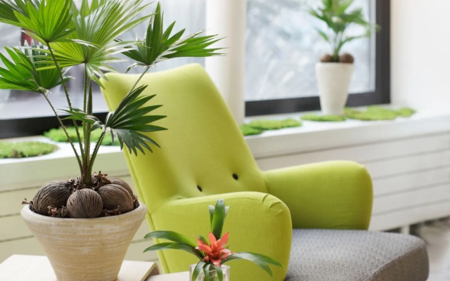 Hôtel Palm - Astotel