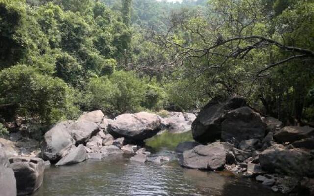 Dudhsagar Plantation