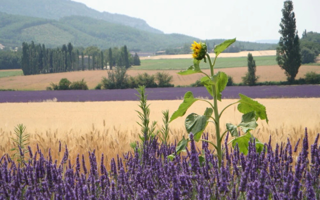 Les Bergerons - Gite Basilic