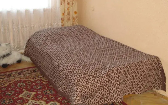 Apartments Nizhniy Shuvar