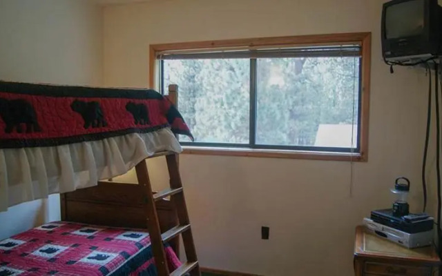 RedAwning Its About Bears #544