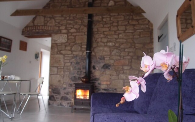 Cockle Kitty Cottage