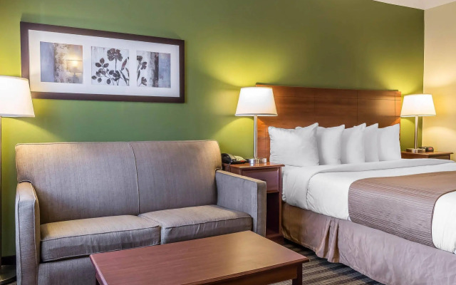 Quality Inn Flamingo