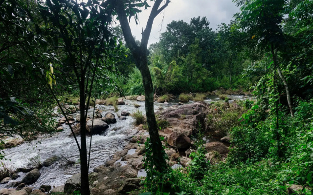 OYO 9725 Hotel Misty River