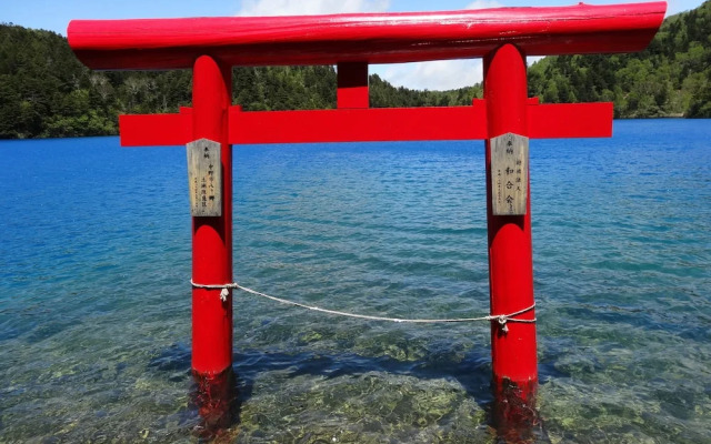 Shigakogen Milky Hot Spring Keikokunoyu
