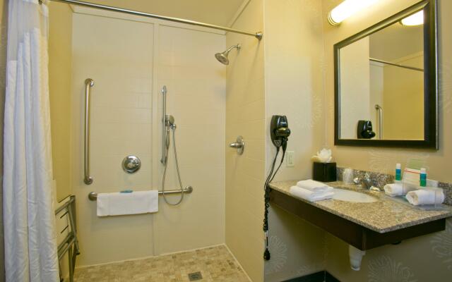 Holiday Inn Express Hotel & Suites Brookhaven by IHG