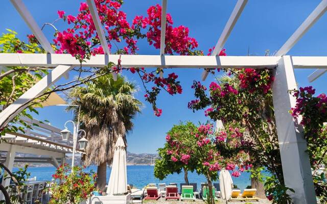 Tamara Beach Pansiyon