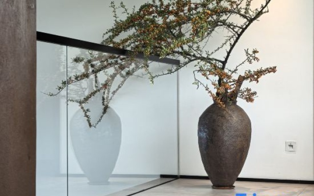 The Artistic Realm of Chenlu Space