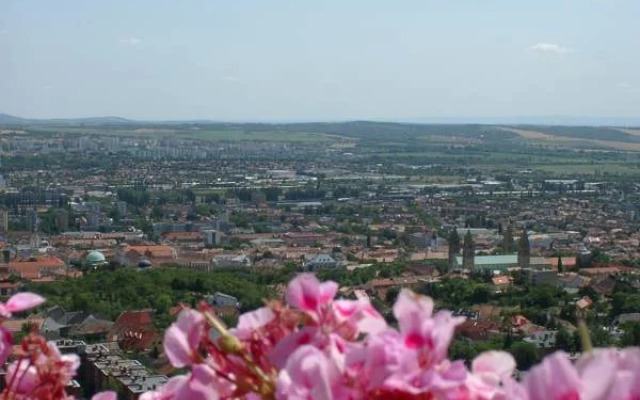Hotel Fenyves Panorama