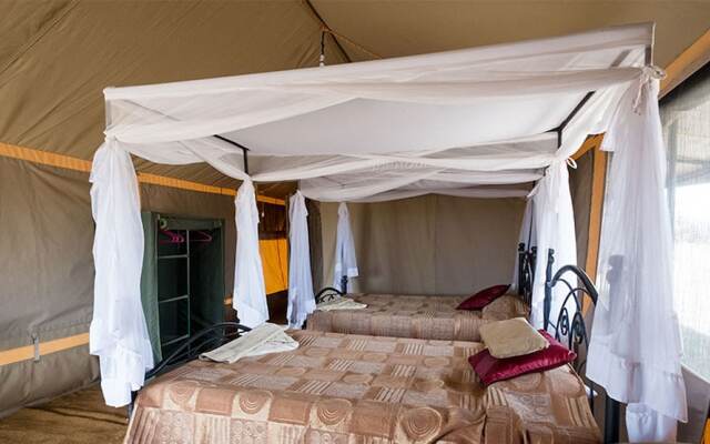 Serengeti Wild Camp