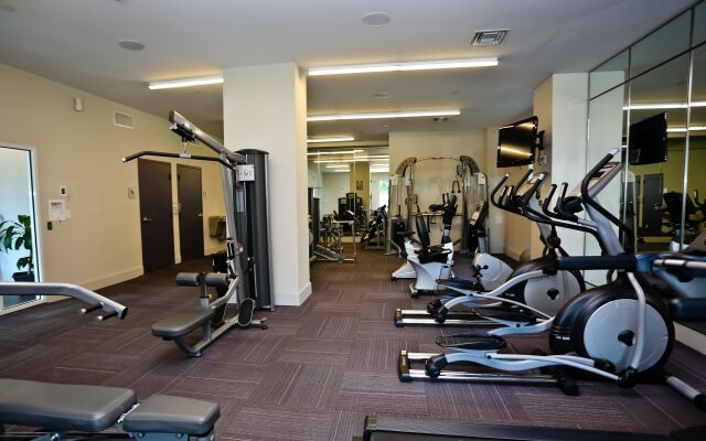 Nuovo Properties at Brickell 1st