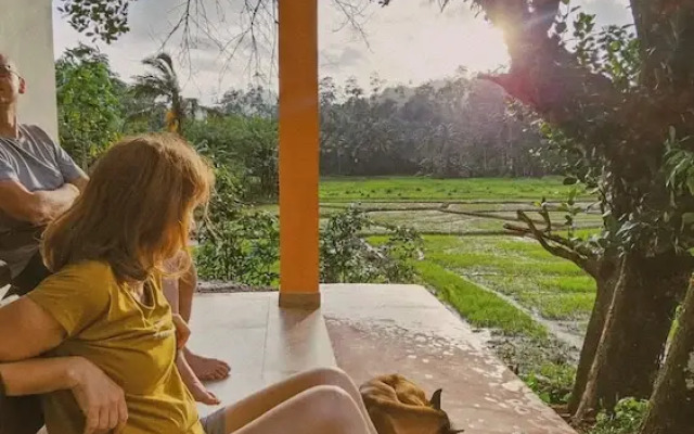 Forest & Fields Sinharaja