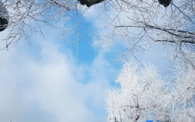 Yuanye Yunshu Hostel