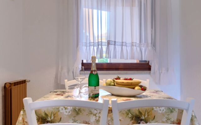 Apartment Tiziana Umag/Finida 28860