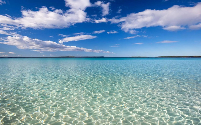 Saltwood at Hyams 4pm Check Out Sundays except Peak season