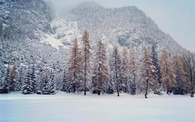 Mountain Apart Katzenkopf