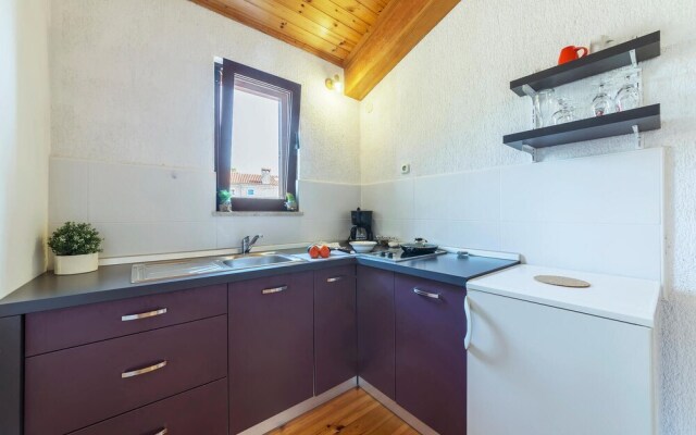 Nice Apartment in Kanfanar With Wifi and 1 Bedrooms