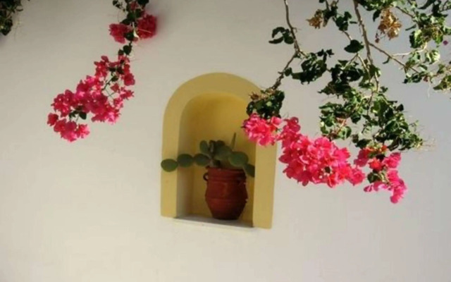 Saraya Resort