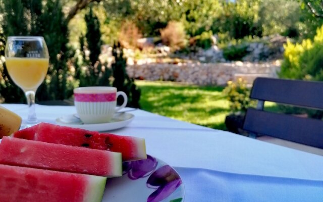 Guesthouse Oliva
