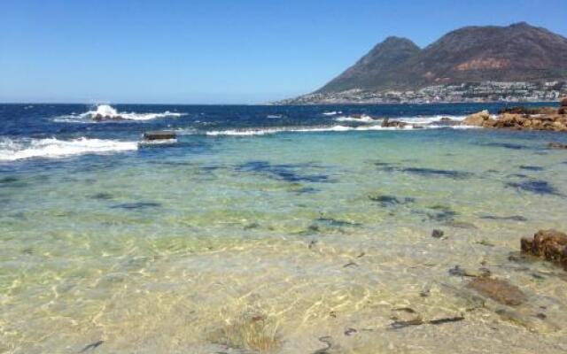Berg and Beach - Simon's Town