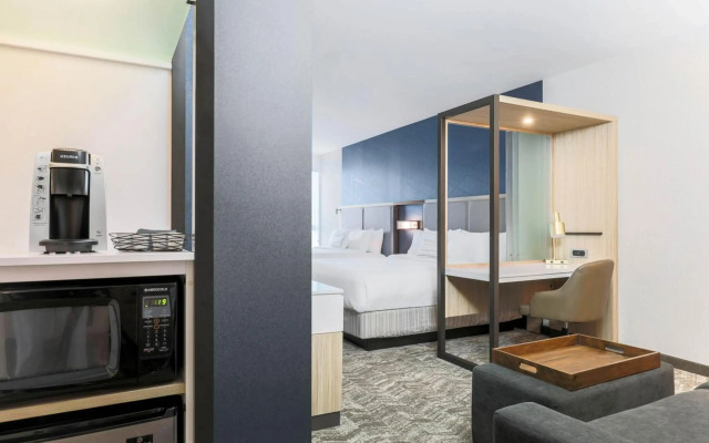 SpringHill Suites by Marriott San Jose Fremont