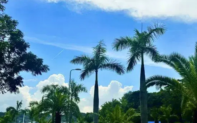 haijiaoyihao Homestay (Xiamen Huangcuo Beach)