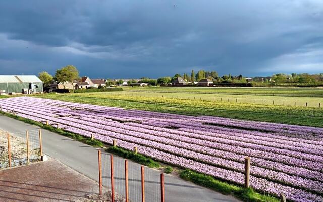 Tulpenhoek