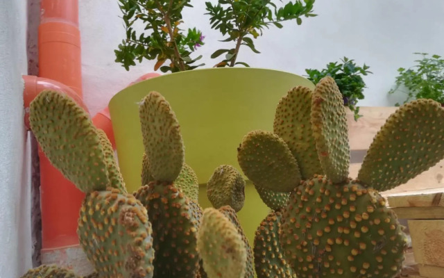 Sofia Pretty Appartament