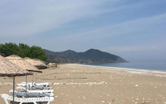 Oblomov Bungalows Apart