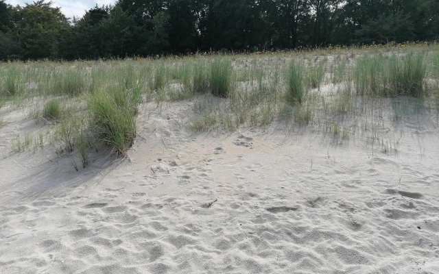 Pension Haus Anneliese