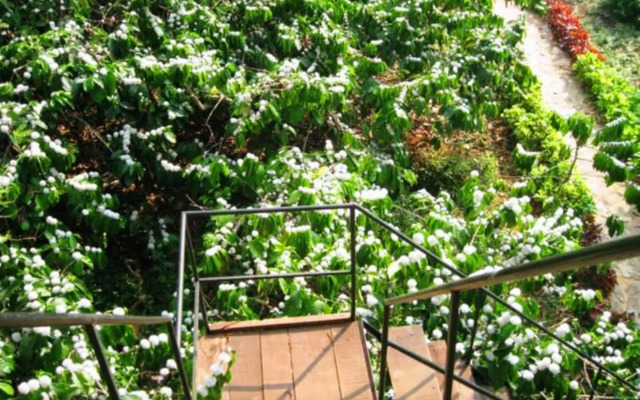 Coffee Acres Plantation Resort