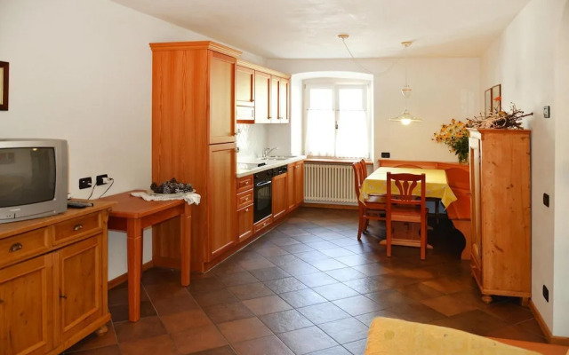 Apartment in Pellizzano With Paid Sauna