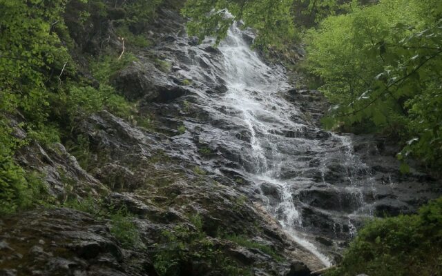 Big Intervale Fishing Lodge