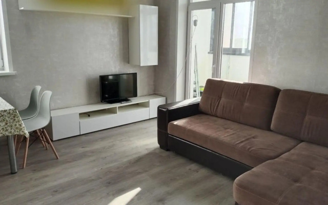 Apartment on Oleg Koshevoy Street