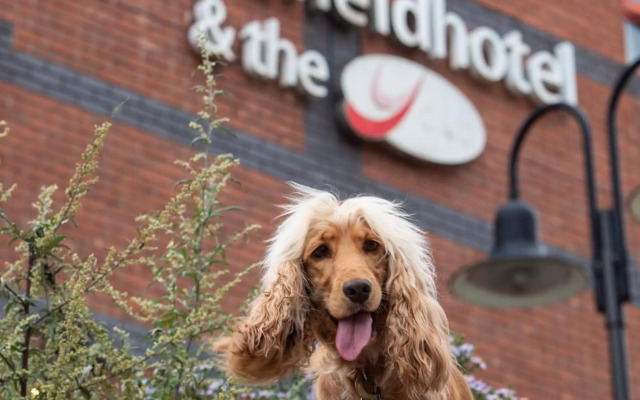 Castlefield Hotel