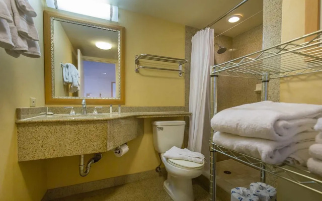 Ilikai 427 - Studio Condo