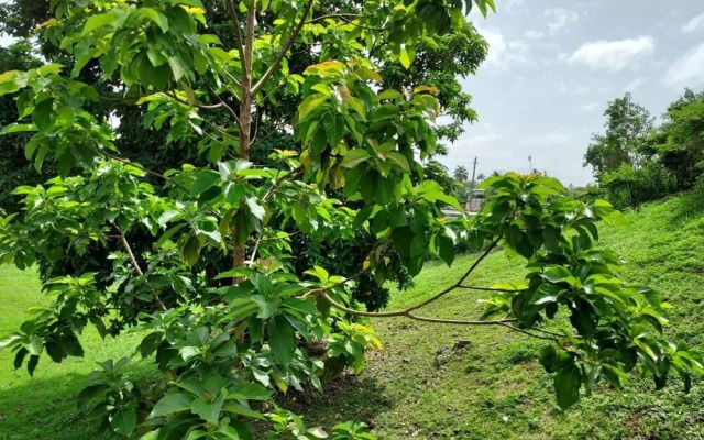 Confort Y Relajacion