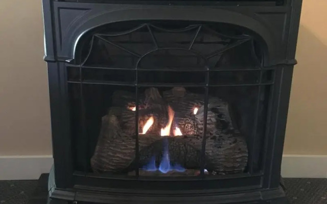 Kingfish at West Sound