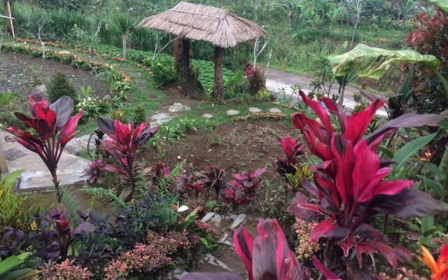Bali Tree House Pelangi