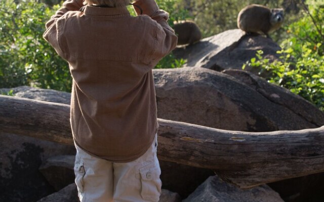 Elewana Serengeti Pioneer Camp