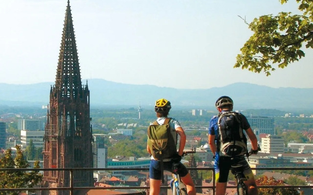 Hotel Schwärs Löwen Freiburg