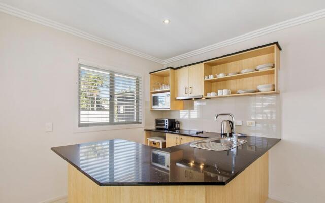 Noosa River Palms