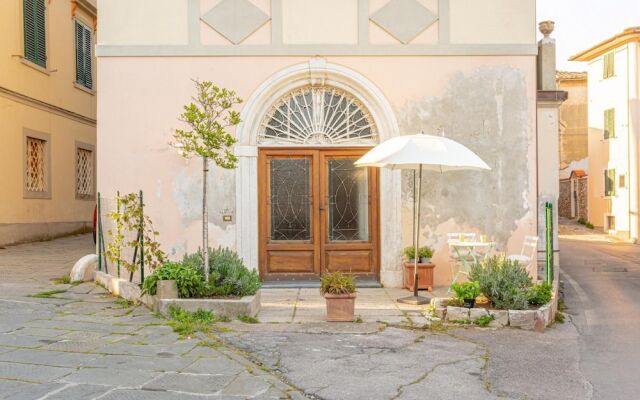 Aromatic Green House