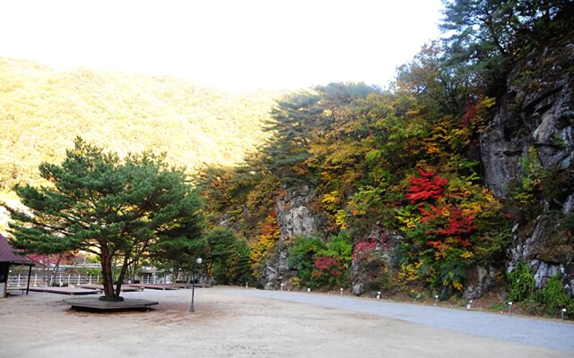 Gapyeon Nest Pension