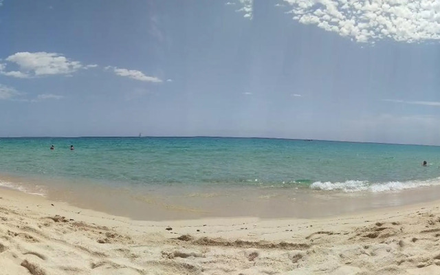 I Limoni del Sud Sardegna