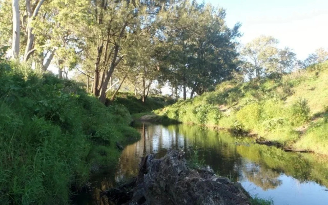 Woodenbong Bed and Breakfast