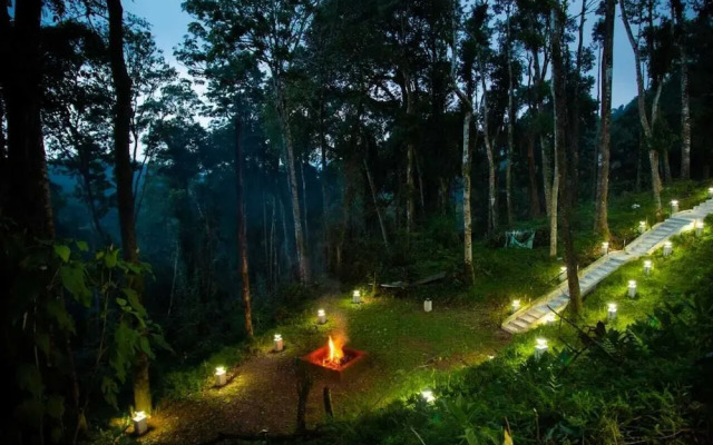 Room in Guest Room - The Nest Bettathur Coorg - ct No 002